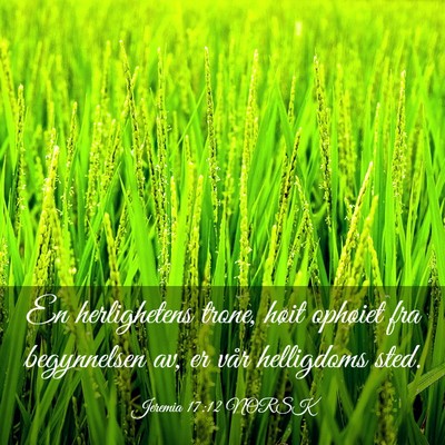 Picture 03 - Jeremia 17:12 NORSK - En herlighetens trone, høit ophøiet fra - Bible Verse Picture