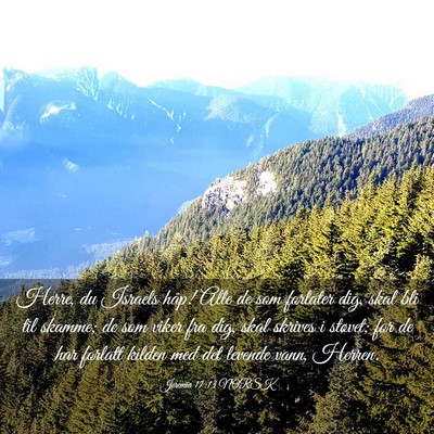 Picture 03 - Jeremia 17:13 NORSK - Herre, du Israels håp! Alle de som forlater dig, - Bible Verse Picture