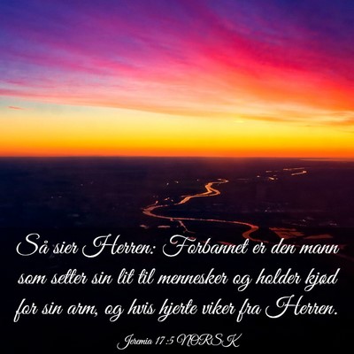 Picture 03 - Jeremia 17:5 NORSK - Så sier Herren: Forbannet er den mann som setter - Bible Verse Picture