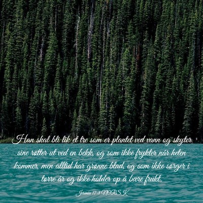 Picture 03 - Jeremia 17:8 NORSK - Han skal bli lik et tre som er plantet ved vann - Bible Verse Picture