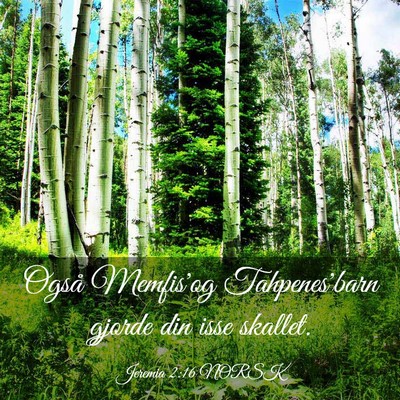 Picture 03 - Jeremia 2:16 NORSK - Også Memfis'og Tahpenes'barn gjorde din isse - Bible Verse Picture