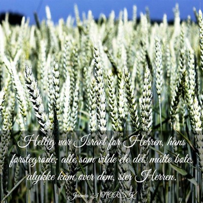 Picture 03 - Jeremia 2:3 NORSK - Hellig var Israel for Herren, hans førstegrøde; - Bible Verse Picture