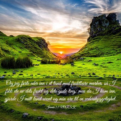 Picture 03 - Jeremia 2:7 NORSK - Og jeg førte eder inn i et land med fruktbare - Bible Verse Picture