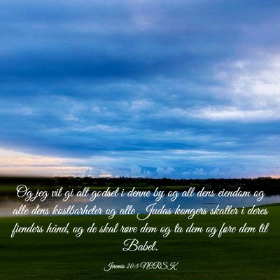 Picture 03 - Jeremia 20:5 NORSK - Og jeg vil gi alt godset i denne by og all dens - Bible Verse Picture
