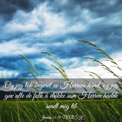 Picture 03 - Jeremia 25:17 NORSK - Og jeg tok begeret av Herrens hånd, og jeg gav - Bible Verse Picture