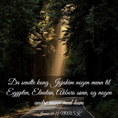 Picture 03 - Jeremia 26:22 NORSK - Da sendte kong Jojakim nogen menn til Egypten, - Bible Verse Picture