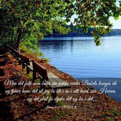 Picture 03 - Jeremia 27:11 NORSK - Men det folk som bøier sin nakke under Babels - Bible Verse Picture