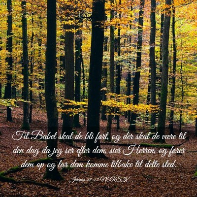 Picture 03 - Jeremia 27:22 NORSK - Til Babel skal de bli ført, og der skal de være - Bible Verse Picture