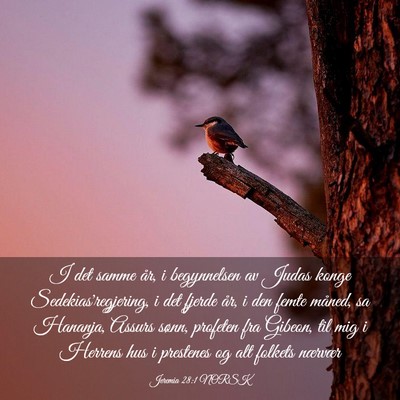 Picture 03 - Jeremia 28:1 NORSK - I det samme år, i begynnelsen av Judas konge - Bible Verse Picture