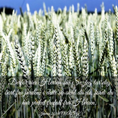 Picture 03 - Jeremia 28:16 NORSK - Derfor sier Herren så: Se, jeg tar dig bort fra - Bible Verse Picture