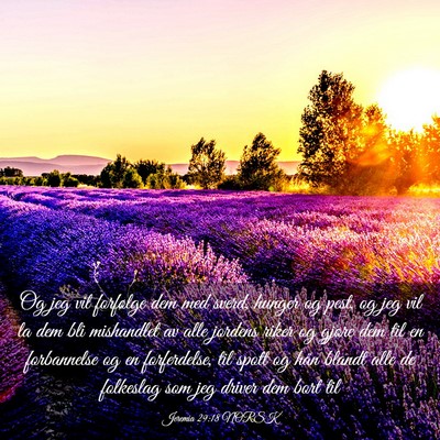 Picture 03 - Jeremia 29:18 NORSK - Og jeg vil forfølge dem med sverd, hunger og - Bible Verse Picture