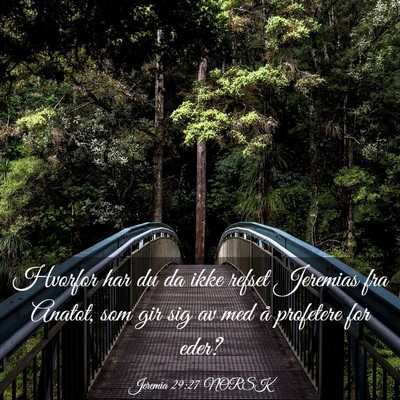 Picture 03 - Jeremia 29:27 NORSK - Hvorfor har du da ikke refset Jeremias fra - Bible Verse Picture