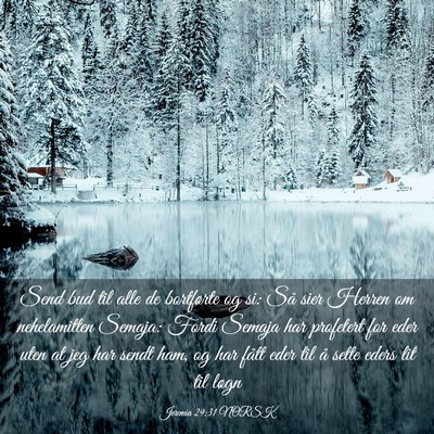 Picture 03 - Jeremia 29:31 NORSK - Send bud til alle de bortførte og si: Så sier - Bible Verse Picture