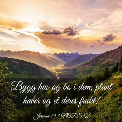 Picture 03 - Jeremia 29:5 NORSK - Bygg hus og bo i dem, plant haver og et deres - Bible Verse Picture