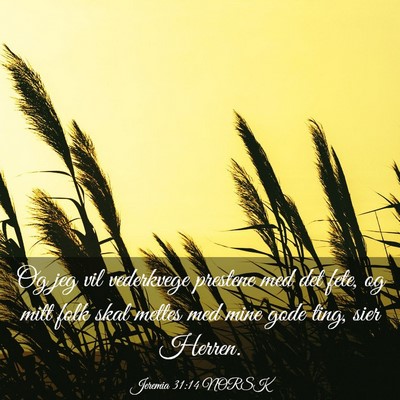 Picture 03 - Jeremia 31:14 NORSK - Og jeg vil vederkvege prestene med det fete, og - Bible Verse Picture