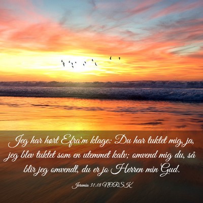 Picture 03 - Jeremia 31:18 NORSK - Jeg har hørt Efra'm klage: Du har tuktet mig, - Bible Verse Picture