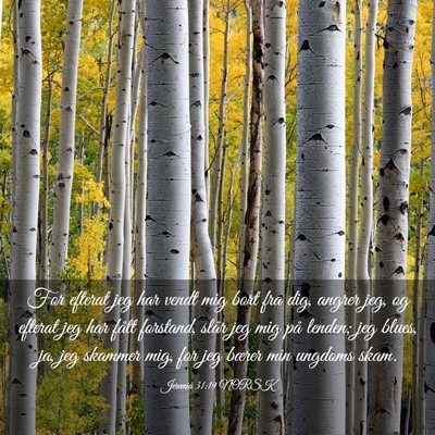 Picture 03 - Jeremia 31:19 NORSK - For efterat jeg har vendt mig bort fra dig, - Bible Verse Picture