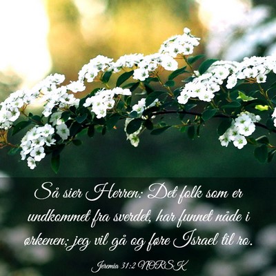 Picture 03 - Jeremia 31:2 NORSK - Så sier Herren: Det folk som er undkommet fra - Bible Verse Picture