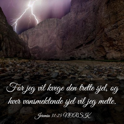 Picture 03 - Jeremia 31:25 NORSK - For jeg vil kvege den trette sjel, og hver - Bible Verse Picture