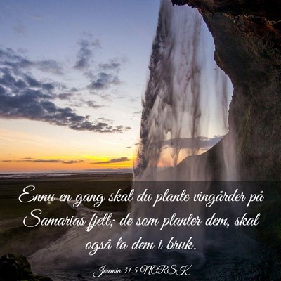 Picture 03 - Jeremia 31:5 NORSK - Ennu en gang skal du plante vingårder på - Bible Verse Picture