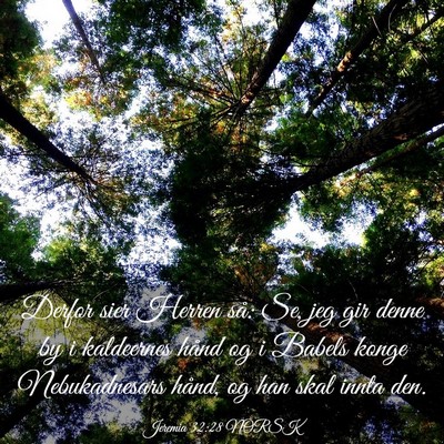Picture 03 - Jeremia 32:28 NORSK - Derfor sier Herren så: Se, jeg gir denne by i - Bible Verse Picture