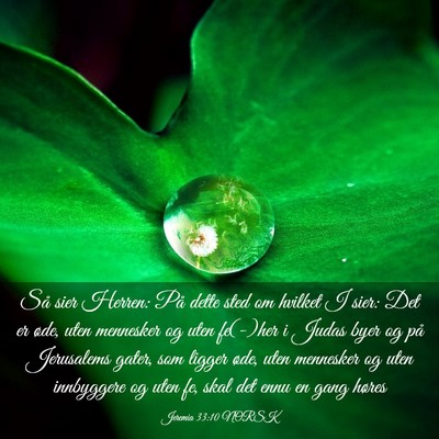 Picture 03 - Jeremia 33:10 NORSK - Så sier Herren: På dette sted om hvilket I - Bible Verse Picture