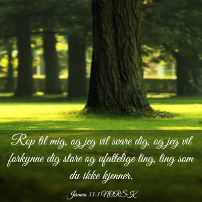 Picture 03 - Jeremia 33:3 NORSK - Rop til mig, og jeg vil svare dig, og jeg vil - Bible Verse Picture