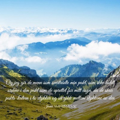 Picture 03 - Jeremia 34:18 NORSK - Og jeg gir de menn som overtrådte min pakt, som - Bible Verse Picture