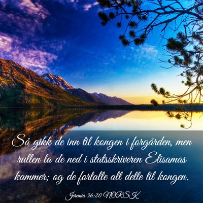 Picture 03 - Jeremia 36:20 NORSK - Så gikk de inn til kongen i forgården, men - Bible Verse Picture