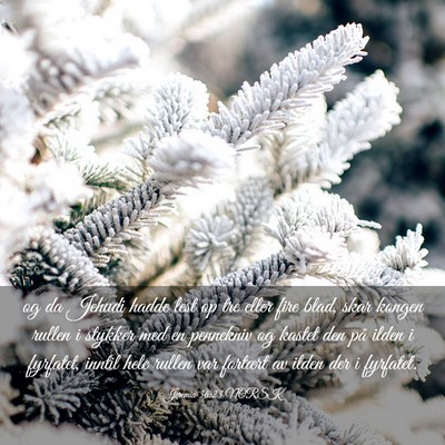 Picture 03 - Jeremia 36:23 NORSK - og da Jehudi hadde lest op tre eller fire blad, - Bible Verse Picture