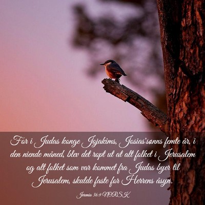 Picture 03 - Jeremia 36:9 NORSK - For i Judas konge Jojakims, Josias'sønns femte - Bible Verse Picture