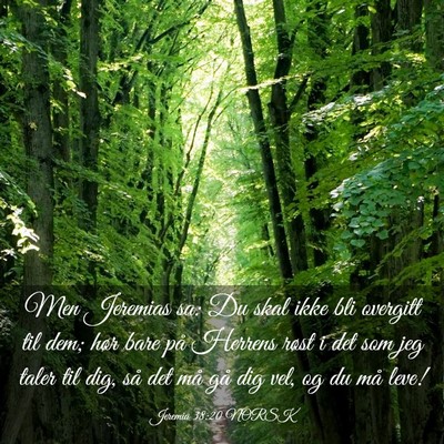 Picture 03 - Jeremia 38:20 NORSK - Men Jeremias sa: Du skal ikke bli overgitt til - Bible Verse Picture