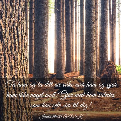 Picture 03 - Jeremia 39:12 NORSK - Ta ham og la ditt øie våke over ham og gjør - Bible Verse Picture