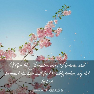 Picture 03 - Jeremia 39:15 NORSK - Men til Jeremias var Herrens ord kommet da han - Bible Verse Picture