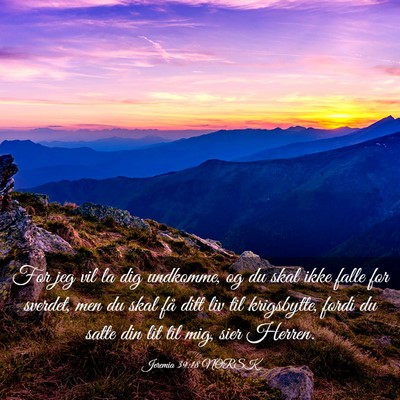 Picture 03 - Jeremia 39:18 NORSK - For jeg vil la dig undkomme, og du skal ikke - Bible Verse Picture