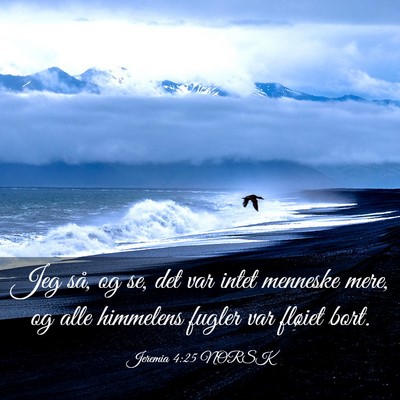 Picture 03 - Jeremia 4:25 NORSK - Jeg så, og se, det var intet menneske mere, og - Bible Verse Picture