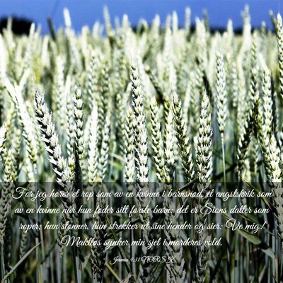 Picture 03 - Jeremia 4:31 NORSK - For jeg hører et rop som av en kvinne i - Bible Verse Picture