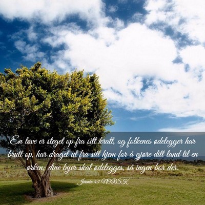 Picture 03 - Jeremia 4:7 NORSK - En løve er steget op fra sitt kratt, og folkenes - Bible Verse Picture
