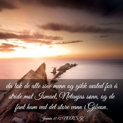 Picture 03 - Jeremia 41:12 NORSK - da tok de alle sine menn og gikk avsted for å - Bible Verse Picture
