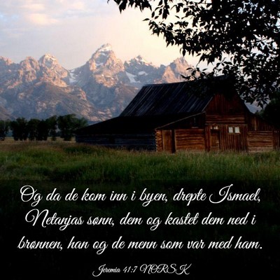 Picture 03 - Jeremia 41:7 NORSK - Og da de kom inn i byen, drepte Ismael, Netanjas - Bible Verse Picture