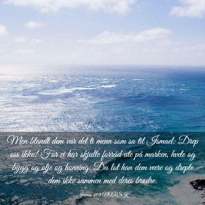 Picture 03 - Jeremia 41:8 NORSK - Men blandt dem var det ti menn som sa til Ismael: - Bible Verse Picture