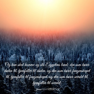 Picture 03 - Jeremia 43:11 NORSK - Og han skal komme og slå Egyptens land; den som - Bible Verse Picture