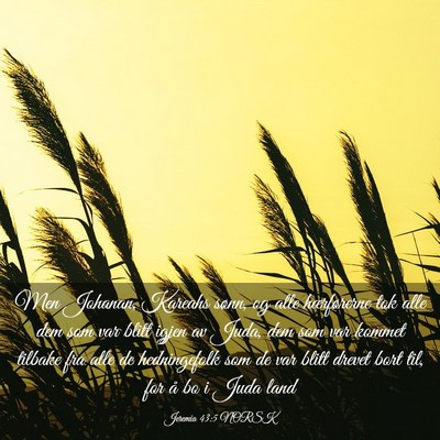 Picture 03 - Jeremia 43:5 NORSK - Men Johanan, Kareahs sønn, og alle hærførerne - Bible Verse Picture