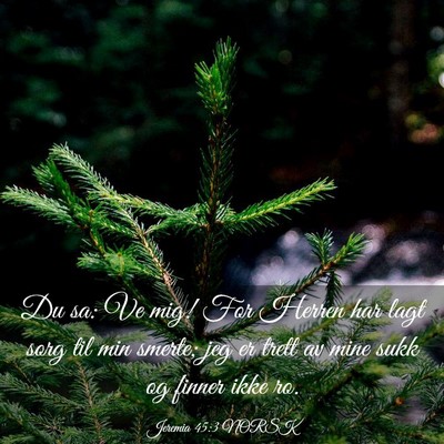 Picture 03 - Jeremia 45:3 NORSK - Du sa: Ve mig! For Herren har lagt sorg til min - Bible Verse Picture