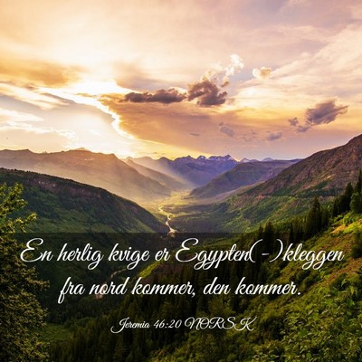 Picture 03 - Jeremia 46:20 NORSK - En herlig kvige er Egypten(-)kleggen fra nord - Bible Verse Picture
