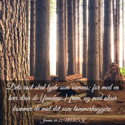 Picture 03 - Jeremia 46:22 NORSK - Dets røst skal lyde som ormens; for med en hær - Bible Verse Picture