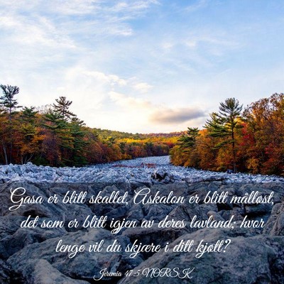 Picture 03 - Jeremia 47:5 NORSK - Gasa er blitt skallet, Askalon er blitt - Bible Verse Picture