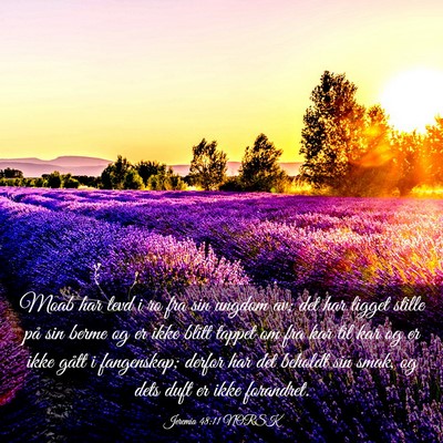 Picture 03 - Jeremia 48:11 NORSK - Moab har levd i ro fra sin ungdom av; det har - Bible Verse Picture