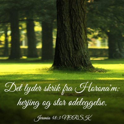 Picture 03 - Jeremia 48:3 NORSK - Det lyder skrik fra Horona'm: herjing og stor - Bible Verse Picture