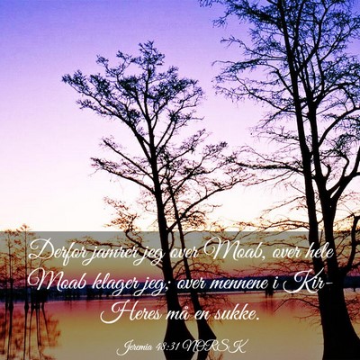 Picture 03 - Jeremia 48:31 NORSK - Derfor jamrer jeg over Moab, over hele Moab - Bible Verse Picture